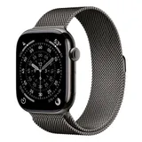Apple Watch S11 Cellular 46mm Slate Titanium Case with Slate Milanese Loop - S/M